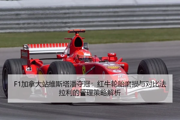 jia-na-da-zhan-wei-si-ta-pan-duo-guan-hong-niu-lun-tai-mo-sun-yu-dui-bi-fa-la-li-de-guan-li-ce-lve-jie-xi-2-179.jpg
