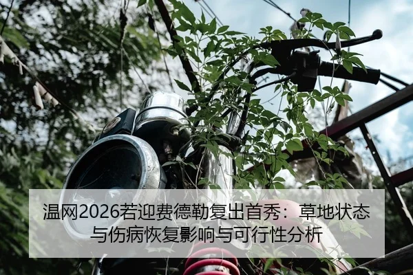 温网2026若迎费德勒复出首秀：草地状态与伤病恢复影响与可行性分析