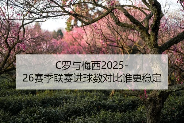C罗与梅西2025-26赛季联赛进球数对比谁更稳定