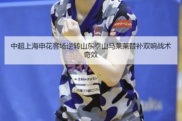 zhong-chao-shang-hai-shen-hua-ke-chang-ni-zhuan-shan-dong-tai-shan-ma-lai-lai-ti-bu-shuang-xiang-zhan-shu-qi-xiao-2-273.jpg