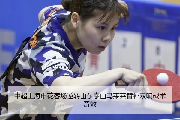zhong-chao-shang-hai-shen-hua-ke-chang-ni-zhuan-shan-dong-tai-shan-ma-lai-lai-ti-bu-shuang-xiang-zhan-shu-qi-xiao-3-331.jpg